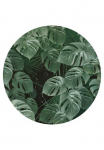 Komar Tapetai &raquo;Vlies selbstklebend - Novel Monstera - Gr&ouml;&szlig;e 125 x 125 cm&laquo; ra&scaron;tuotas glatt Wohnzimmer miegamojo kambario baldai
