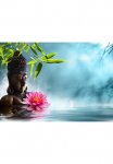 Papermoon Fototapetas &raquo;Buddha in Meditation.&laquo;