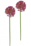 I.GE.A. Dirbtinė gėlė &raquo;Allium Zierlauch&laquo; Stielblume Dirbtinis gėlės 2vnt. rinkinys
