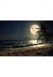 Papermoon Fototapetas &raquo;STRAND-NATUR palmių motyvas MEER D&Uuml;NEN MOND PALME LANDSCHAFT&laquo;