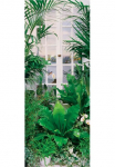 Papermoon Fototapetas &raquo;Flower Window - T&uuml;rtapete&laquo; matinis