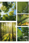 Art for the home Paveikslas ant drobės &raquo;Pure Natur&laquo; Landschaft rinkinys gr&uuml;ne Stille rinkinys 5 dalių 80x60 cm