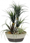 I.GE.A. Dirbtinis augalas &raquo;Dracena/Tillandsia&laquo; im Vazonas i&scaron; Keramik