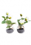 Botanic-Haus Dirbtinė gėlė &raquo;Rosen im Glas&laquo;