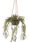 Creativ green Dirbtinis augalas &raquo;H&auml;ngepflanze Rhipsalis pilocarpa&laquo; in grauem H&auml;ngetopf