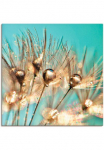 Artland Paveikslas ant drobės &raquo;Pusteblume Goldener Tau&laquo; gėlės 1 Stk. dalys ant Holzrahmen gespannt