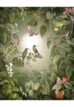 Komar Tapetai &raquo;Digitaldruck Vlies - Wildlife Birds - Gr&ouml;&szlig;e 200 x 250 cm&laquo; ra&scaron;tuotas glatt Wohnzimmer miegamojo kambario baldai