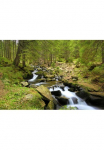 Papermoon Fototapetas &raquo;Mountain River&laquo; glatt