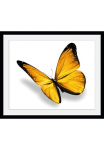 queence Paveikslas &raquo;Maria 3.0&laquo; Insekten | Kunst | Schmetterlinge 1 Stk. dalys HD Premium Poster-Druck ir Holzrahmen