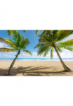 Komar Tapetai &raquo;Digitaldruck Vlies - Caribbean Days II - Gr&ouml;&szlig;e 450 x 280 cm&laquo; ra&scaron;tuotas glatt Wohnzimmer miegamojo kambario baldai