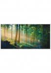 Artland Paveikslas &raquo;Herbstmorgen im Wald&laquo; Waldbilder 1 Stk. dalys dėl Innen- ir lauko zona tinka Outdoorbild