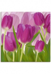 Artland Paveikslas &raquo;Tulpenfeld lila&laquo; gėlės 1 Stk. dalys kaip Alubild Paveikslas ant drobės in verschied. dydžiai