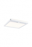 Paulmann LED Sieninis &scaron;viestuvas &raquo;Au&szlig;enpanel Lamina IP44 eckig 250x47mm 14W 920lm 230V Kunststoff&laquo; 1 Stk. Warmwei&szlig; Backlight judesio jutiklis insektenfreundlich tunable warmwhite IP44