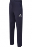 adidas Performance Sportinės kelnės Sportinės kelnės &raquo;Tracksuit kelnės&laquo;