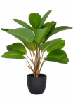 Creativ green Dirbtinis augalas &raquo;Philodendron&laquo; su naturgetreuem Blattwerk
