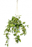 I.GE.A. Dirbtinis augalas &raquo;Tradeskantie&laquo; Tradescantiah&auml;ngeampel