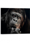 Reinders! Paveikslas &raquo;Gorilla&laquo;