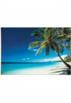 Reinders! Plakatas &raquo;Palme ant Strand&laquo; 1 Stk. dalys