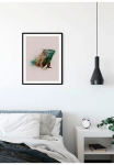 Komar Paveikslas &raquo;Animals Paradise Iguana&laquo; Tiere 1 Stk. dalys paveikslas zur dekoracija - be grotelės