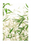 Komar Paveikslas &raquo;Bamboo Leaves&laquo; Bl&auml;tter | Pflanzen 1 Stk. dalys paveikslas zur dekoracija - be grotelės