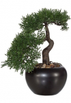 Creativ green Kunstbonsai &raquo;Bonsai Zeder im Keramiktopf&laquo;