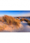 Papermoon Fototapetas &raquo;Dunes Grass&laquo; glatt