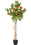 Creativ green Dirbtinis medis &raquo;Bougainvillea&laquo; su gražus geformtem Stamm