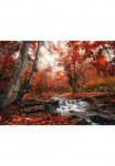 Papermoon Fototapetas &raquo;Foggy Forest Creek&laquo; glatt