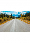 Komar Fototapetas &raquo;Atlin Road - Gr&ouml;&szlig;e 368 x 254 cm&laquo; ra&scaron;tuotas glatt Wohnzimmer miegamojo kambario baldai