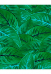 Komar Tapetai &raquo;Digitaldruck Vlies - Jungle Leaves - Gr&ouml;&szlig;e 200 x 250 cm&laquo; ra&scaron;tuotas glatt Wohnzimmer miegamojo kambario baldai