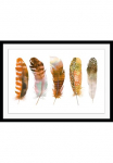 queence Paveikslas &raquo;Bruno&laquo; Federn | Kunst HD Premium Poster-Druck ir Holzrahmen