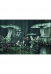 living walls Fototapetas &raquo;Walls by Patel Fantasy 1&laquo; glatt Vlies Wand Schr&auml;ge