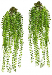 Creativ green Kunstranke