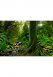 Papermoon Fototapetas &raquo;Tropischer Jubgle Stream&laquo;