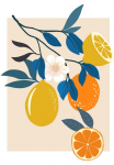 Komar Paveikslas &raquo;Illustration Finest Fruits&laquo; Natur 1 Stk. dalys paveikslas zur dekoracija - be grotelės