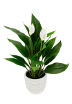 I.GE.A. Dirbtinis augalas &raquo;Spathiphyllum&laquo; im puodas Anthurie Calla Flamingoblume exotische Pflanze wei&szlig;e Bl&uuml;ten