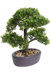 Botanic-Haus Kunstbonsai &raquo;Ficus Bonsai&laquo;
