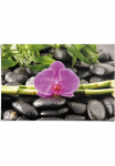 Reinders! Plakatas &raquo;Orchidee&laquo; 1 Stk. dalys
