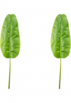 Creativ green Kunstgirlande &raquo;Bananenblatt&laquo;