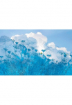 Komar Tapetai &raquo;Digitaldruck Vlies - Blue Sky - Gr&ouml;&szlig;e 400 x 250 cm&laquo; ra&scaron;tuotas glatt Wohnzimmer miegamojo kambario baldai