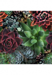 Marburg Fototapetas botanisch moderne Tapetai dėl Wohnzimmer miegamojo kambario baldai K&uuml;che
