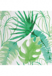 tapetai &raquo;Jungle - Botanik&laquo; botanisch glatt Monstera - 10m x 52cm