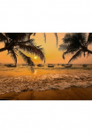 Papermoon Fototapetas &raquo;Sri Lanka Palm Beach&laquo; glatt