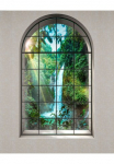 Komar Tapetai &raquo;Digitaldruck Vlies - Rainforest - Gr&ouml;&szlig;e 200 x 250 cm&laquo; ra&scaron;tuotas glatt Wohnzimmer miegamojo kambario baldai
