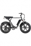 GreenStreet &raquo;California&laquo; 7 Gang Shimano Kettenschaltung Heckmotor 250 W dviratis Elektrofahrrad dėl Moterims u. Herren MTB