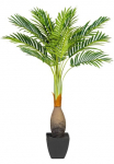 Creativ green Kunstpalme &raquo;Kentiapalme&laquo;
