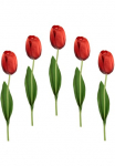 I.GE.A. Dirbtinė gėlė &raquo;Real Touch Tulpen&laquo; 5er rinkinys Dirbtinis Tulpenknospen Kunstblumen Stielblume