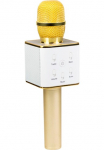 Technaxx Mikrofonas &raquo;BT-X31&laquo;
