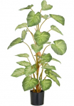 Creativ green Dirbtinis augalas &raquo;Syngonium&laquo; su gražus Blattwerk