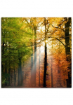 Artland Paveikslas ant drobės &raquo;Sch&ouml;ner Herbsttag 2&laquo; Wald 1 Stk. dalys ant Holzrahmen gespannt